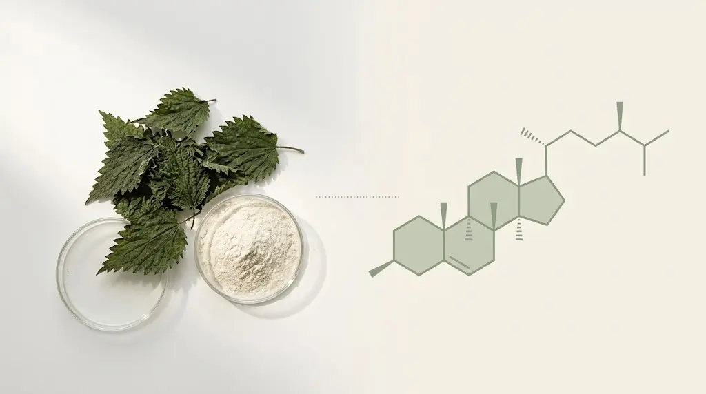 Beta sitosterol nettle leaf extract — HPLC chromatogram and dried nettle leaf side by side