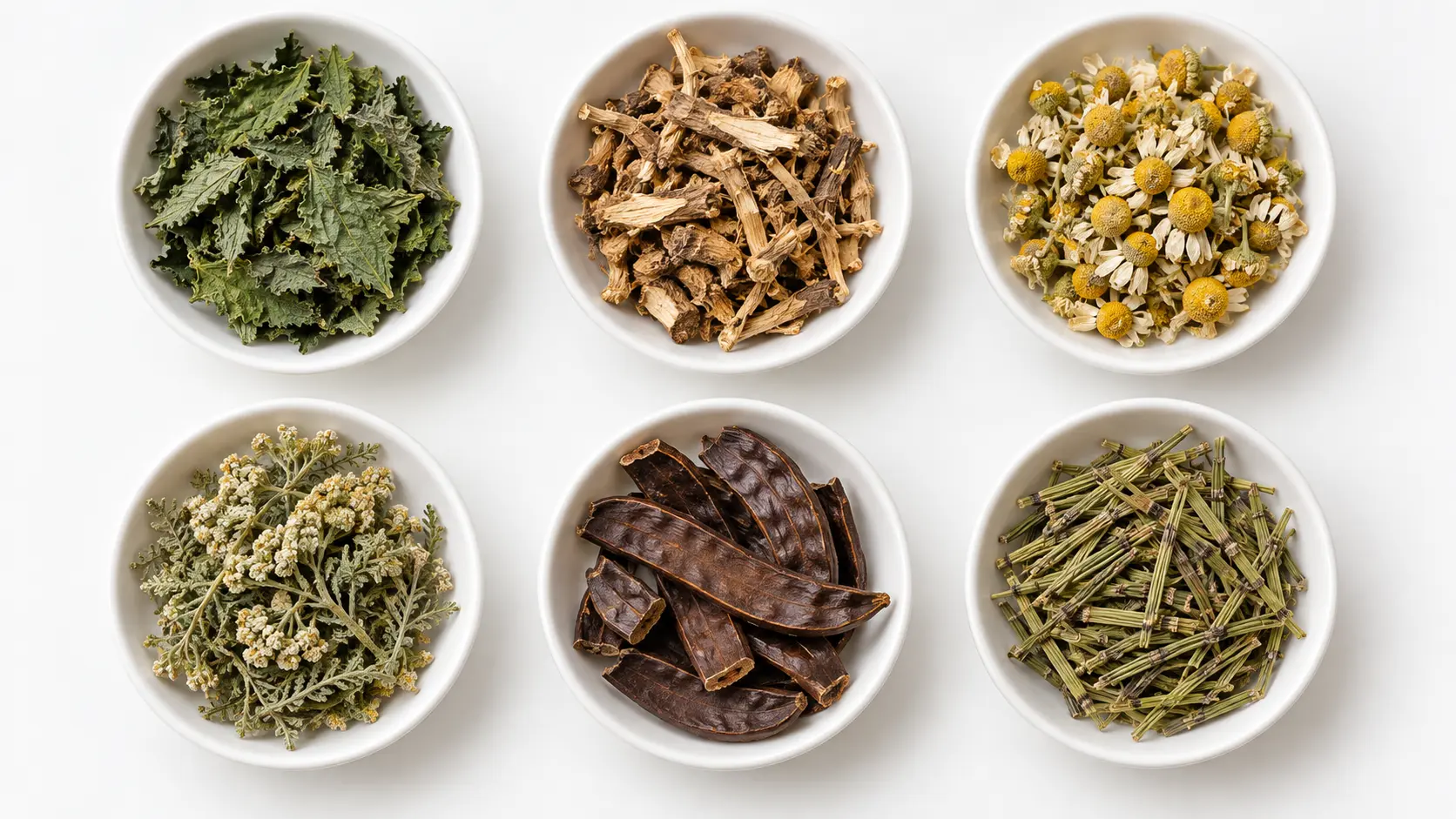 Six dried botanical ingredients used in the Pekmezci 2018 hair loss study — nettle leaf, nettle root, chamomile, yarrow, carob and horsetail
