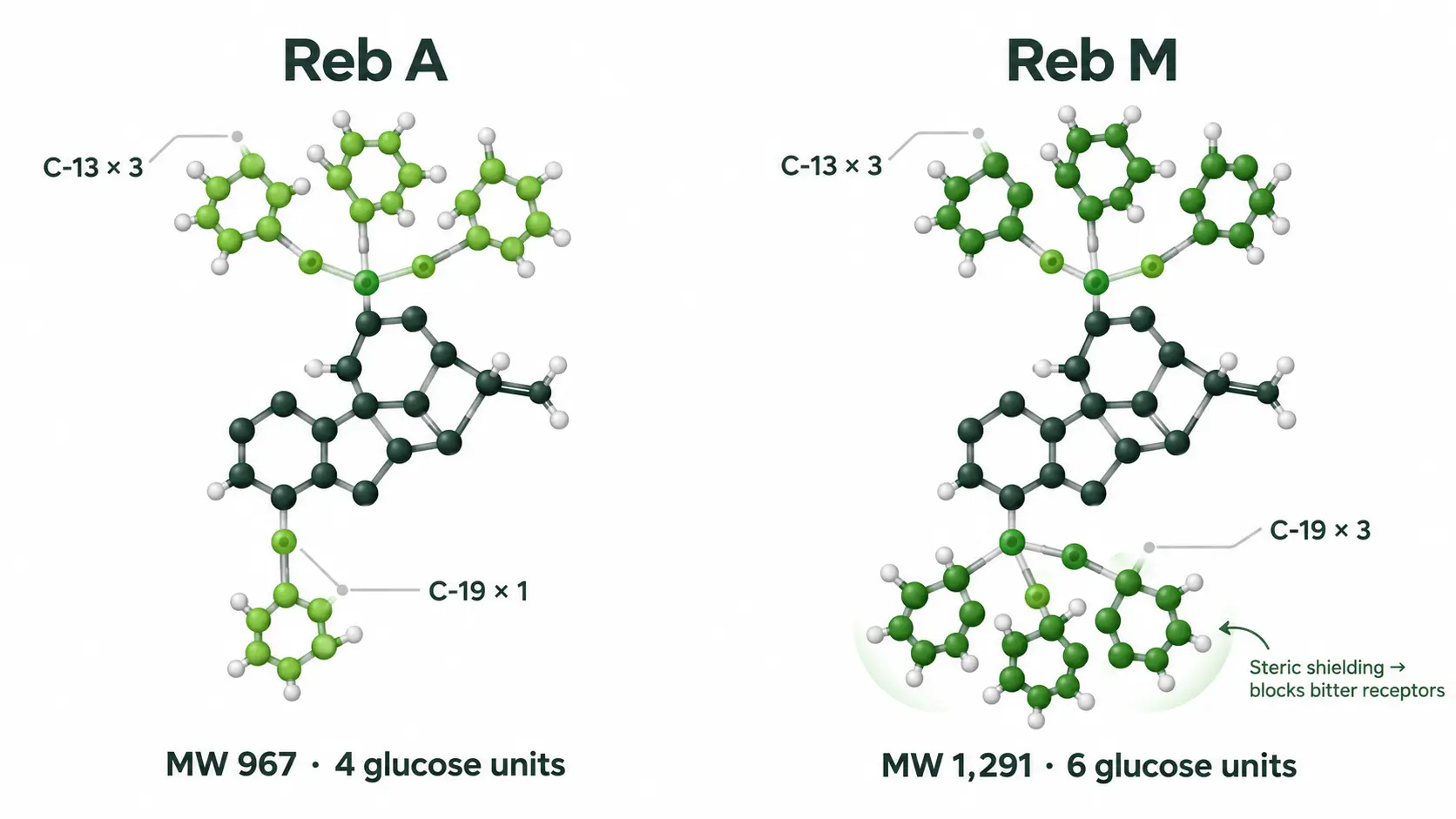 Reb A vs Reb M molecular structure comparison — Reb A with 4 glucose units and Reb M with 6 glucose units attached to the steviol core